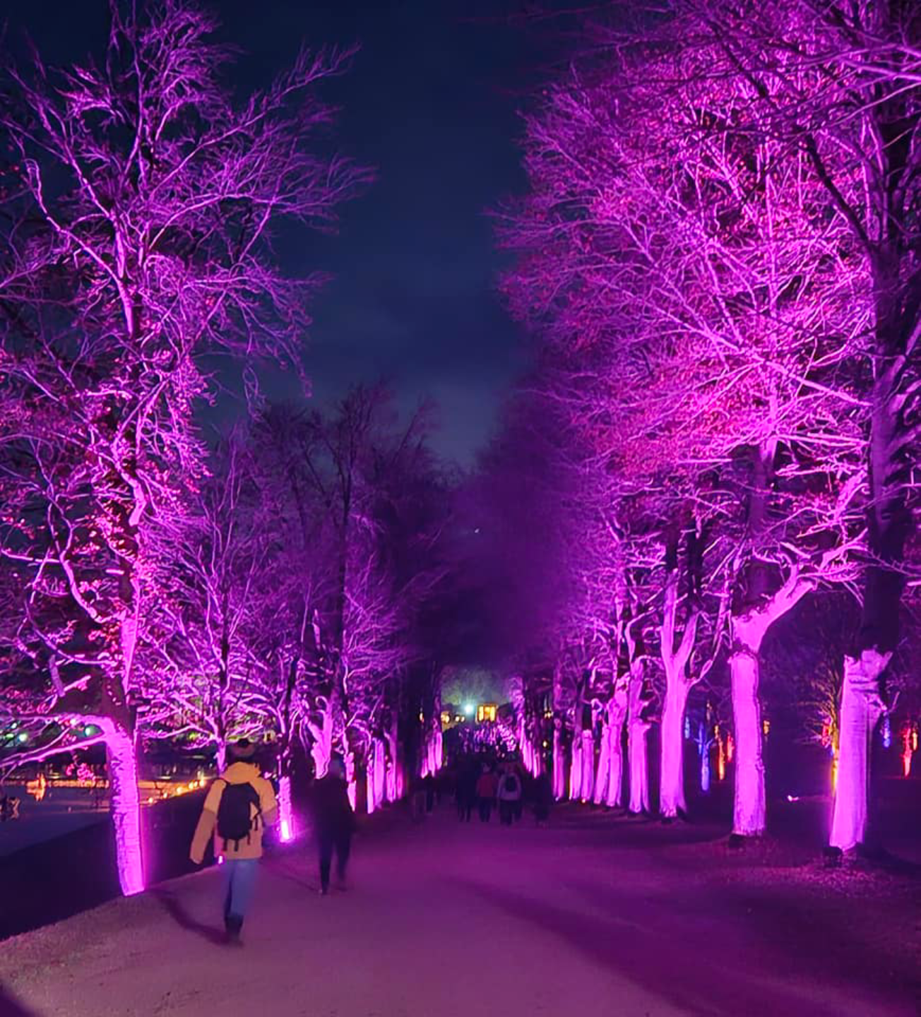 Chatsworth House